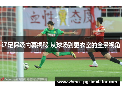 辽足保级内幕揭秘 从球场到更衣室的全景视角