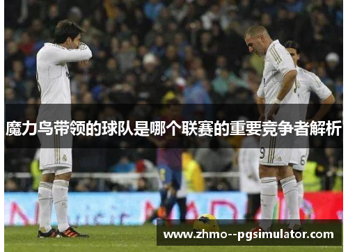 魔力鸟带领的球队是哪个联赛的重要竞争者解析
