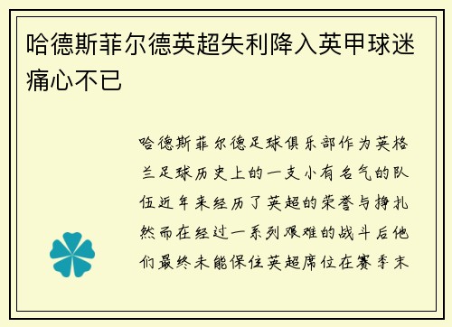 哈德斯菲尔德英超失利降入英甲球迷痛心不已